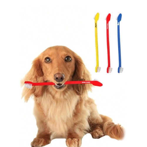 Escovas de dentes personalizadas-esc01