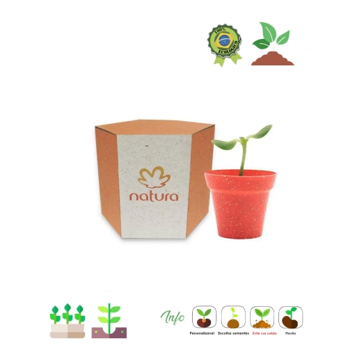 Kit Cultivo sextavado 677-677