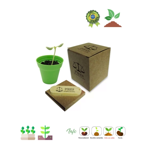 Kit Ecobox Executivo 686-686