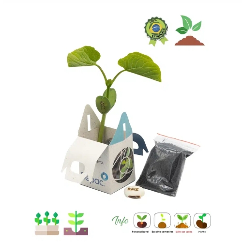 Kit Semente Mágica 03 013-030130