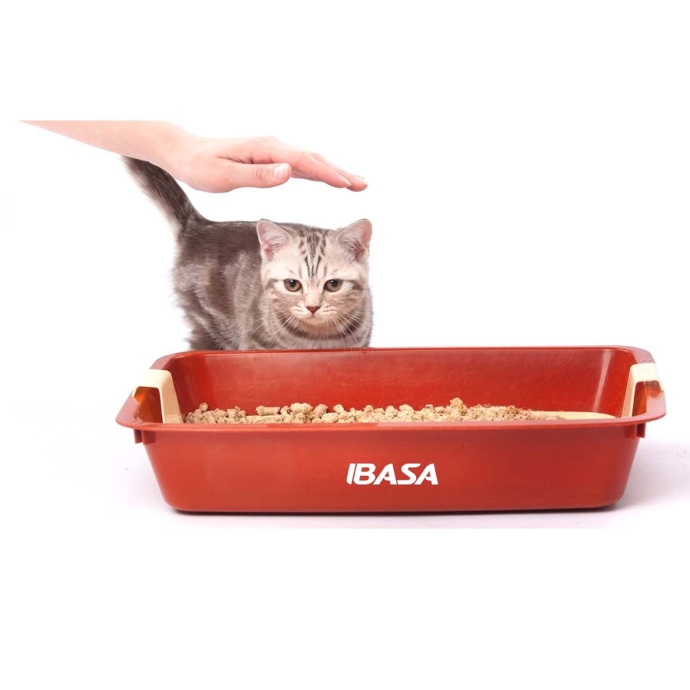Caixa de Areia para Gatos-ca555