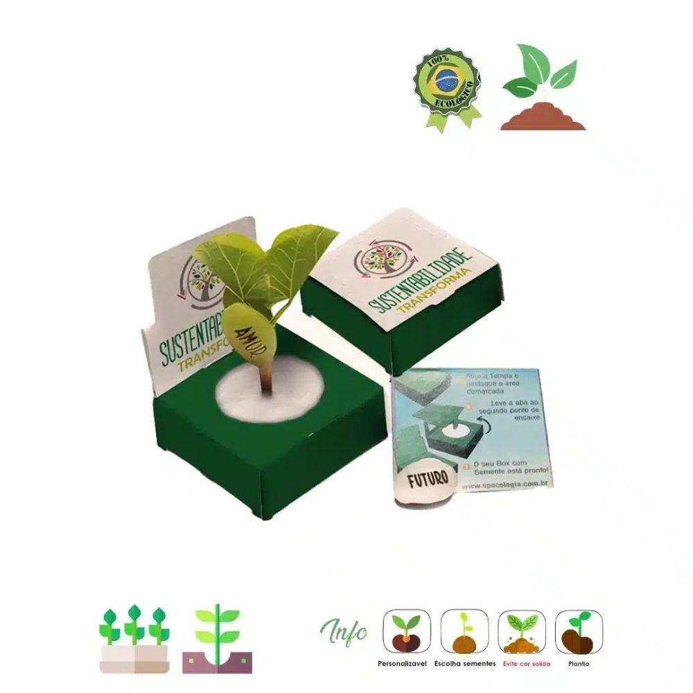 Caixinha Surpresa Semente magica 06 155-Caixinha Surpresa Semente magica 06 155