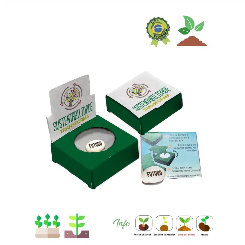 Caixinha Surpresa Semente magica 06 155