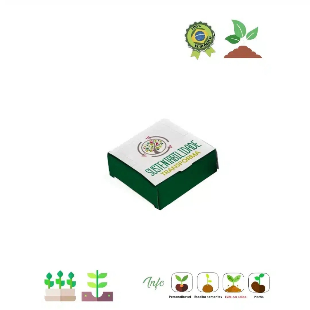 Caixinha Surpresa Semente magica 06 155