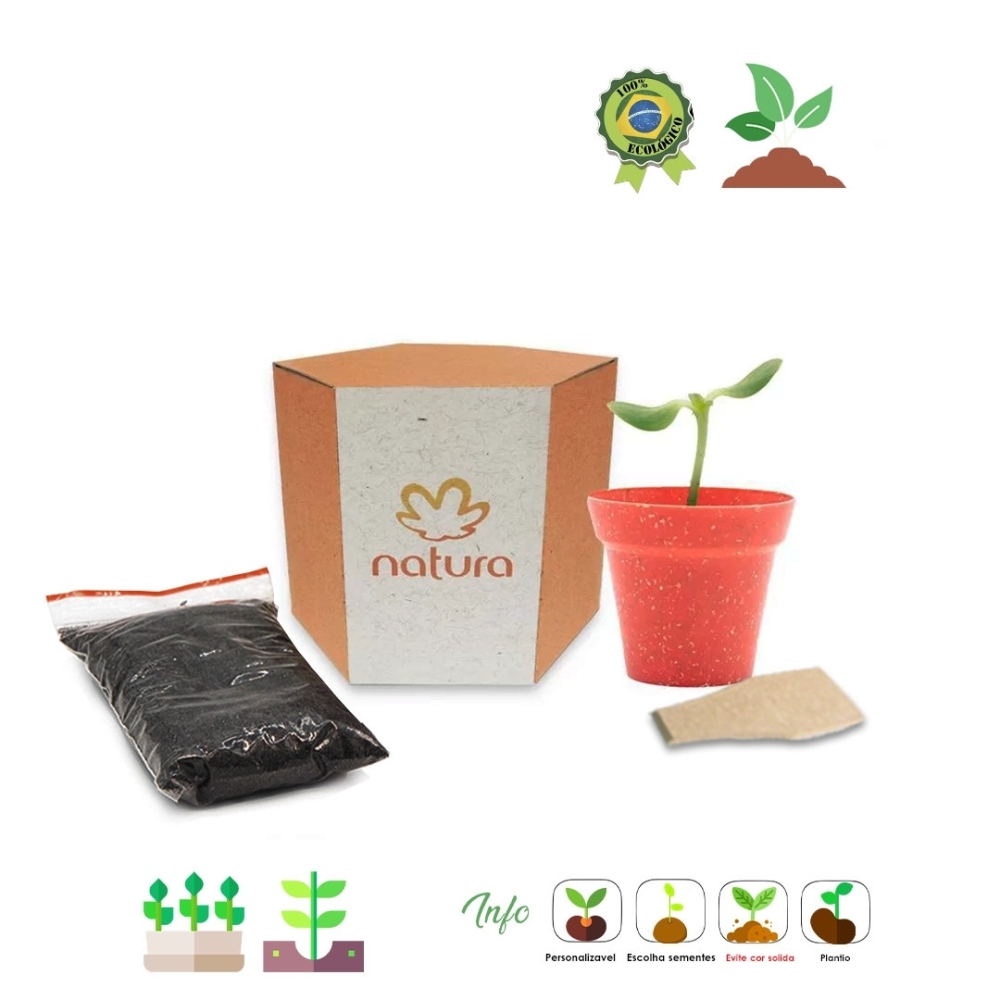 Kit Cultivo sextavado 677