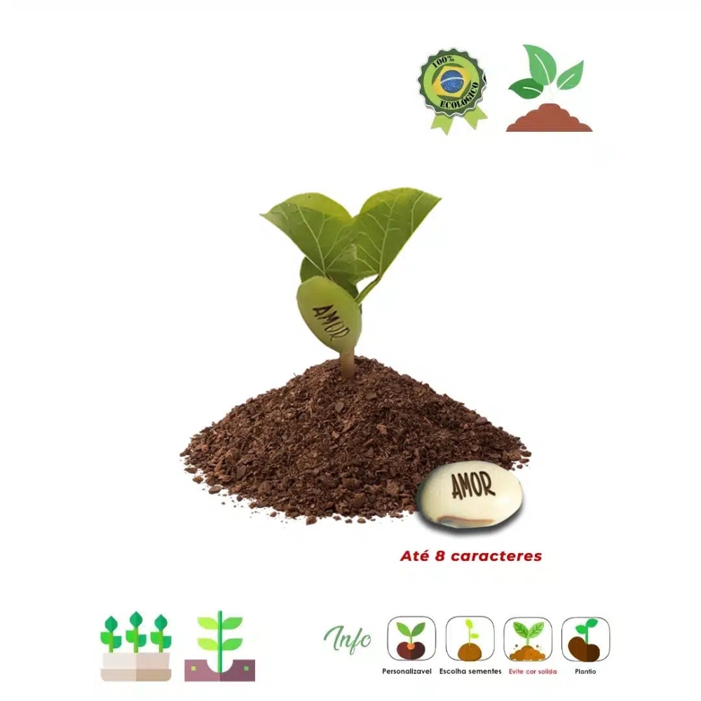 Kit Ecobox Semente magica 05 523