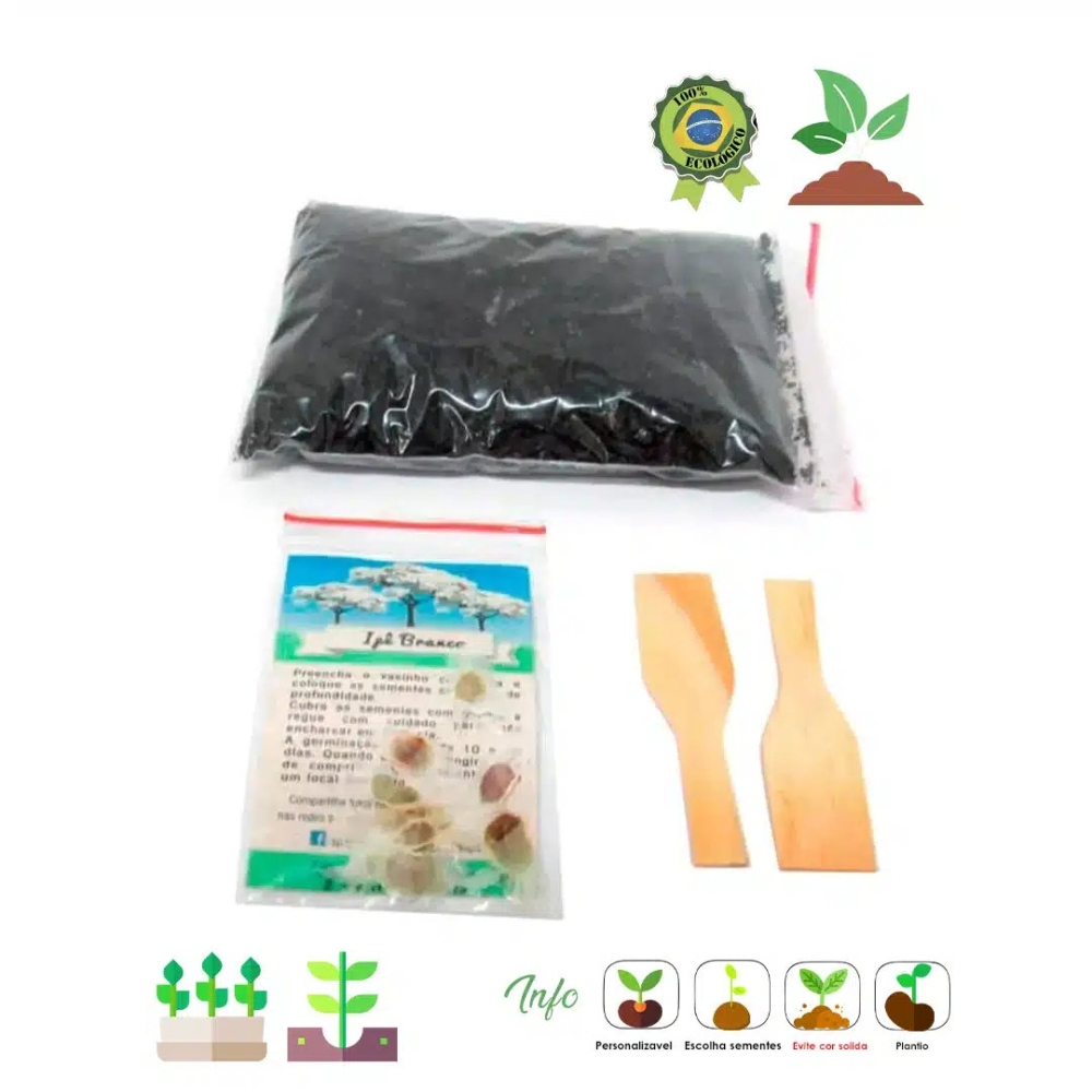 Kit Kraft com Sementes