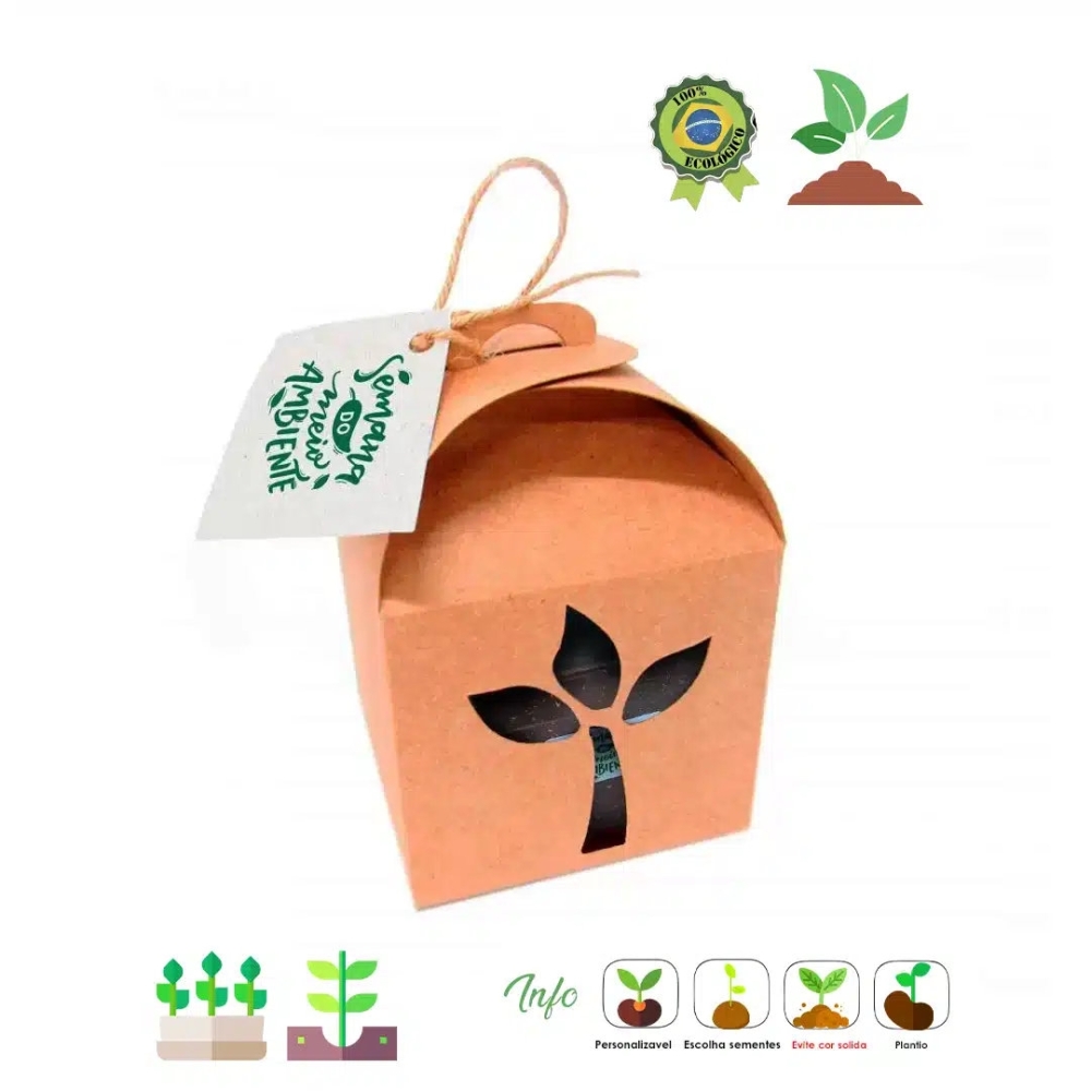 Kit Kraft com Sementes