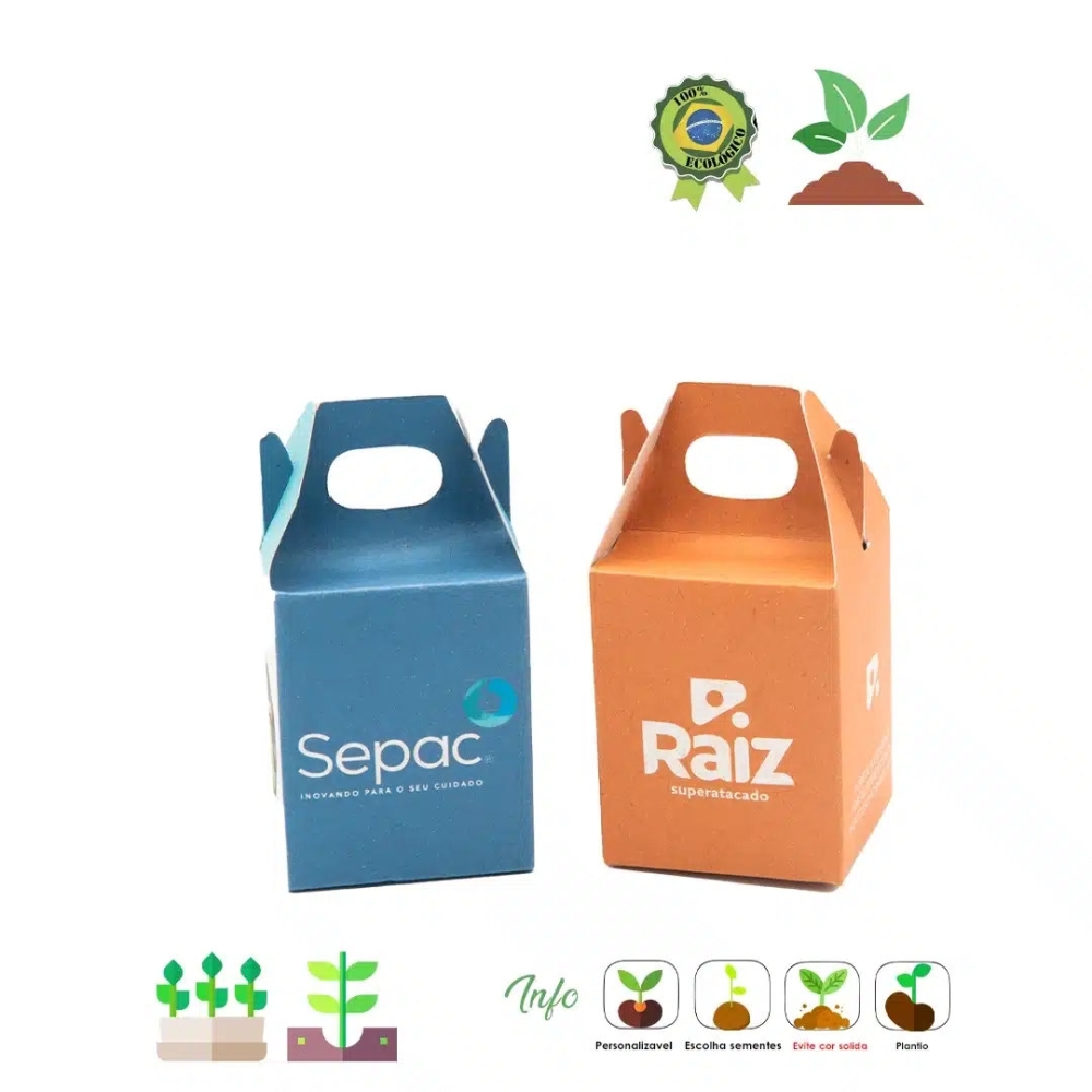 Kit Semente Mágica 03 013