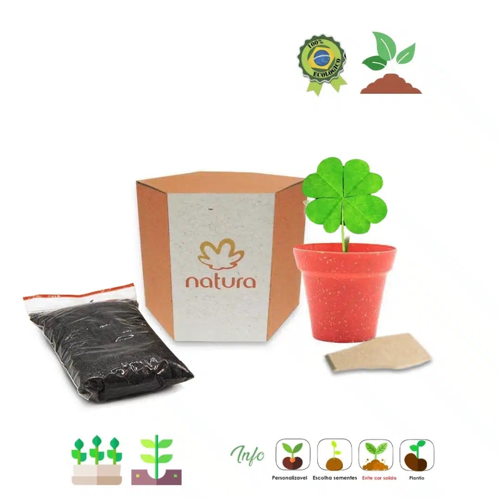 Kit Sextavado Trevo de 4 Folhas 999-999