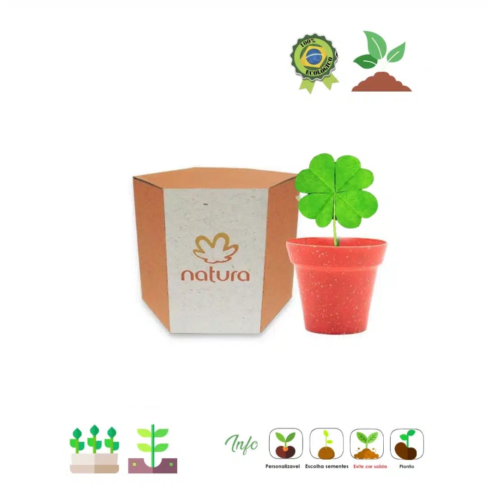 Kit Sextavado Trevo de 4 Folhas 999