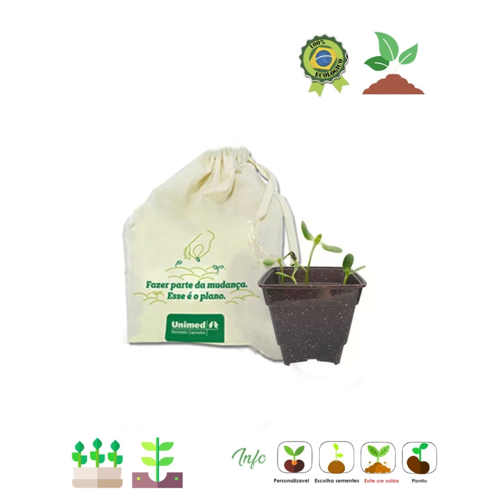 Kit cultivo no saquinho-56972