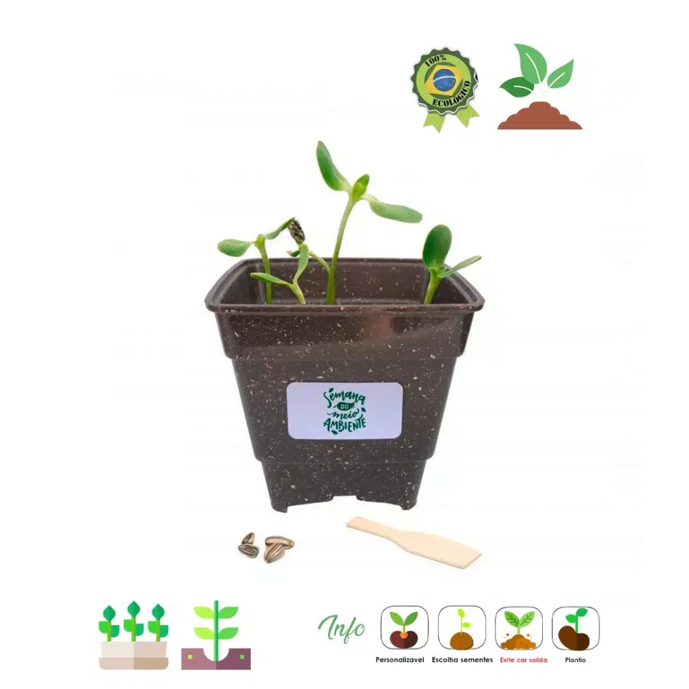 Kit ecológico especial