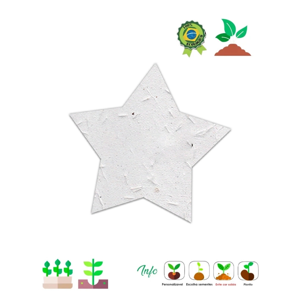 Papel Semente Estrela 019