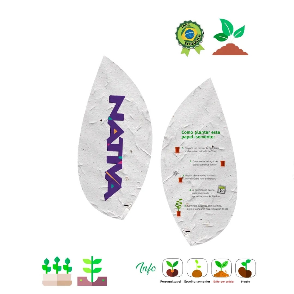 Papel Semente Folha 11x5 853-853